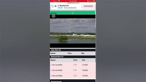 https://www.bpexch.com|horse racing basics for catching jackpot strategy in bpexch.